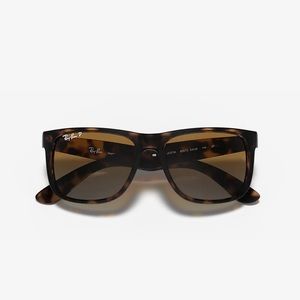Justin Ray Bans Polarized